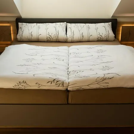 The - Alpentherme Inklusive Apartment Bad Hofgastein